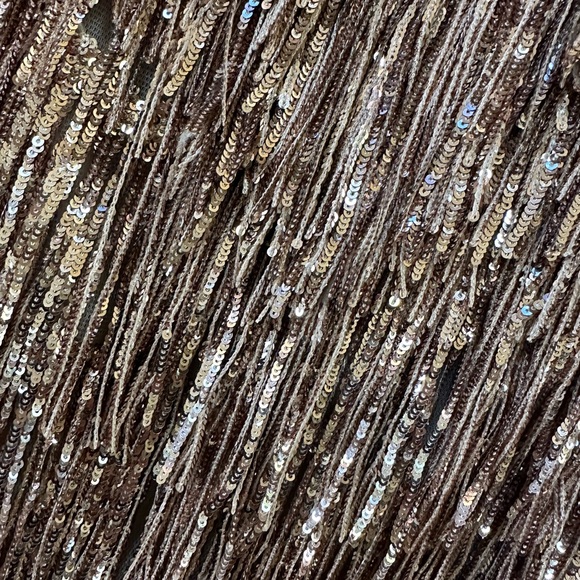 NWT Bronx and Banco Isle Sequined Fringe Gown - Picture 5 of 5